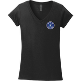Carolina Thunder Softstyle Ladies Fit V-Neck T-Shirt